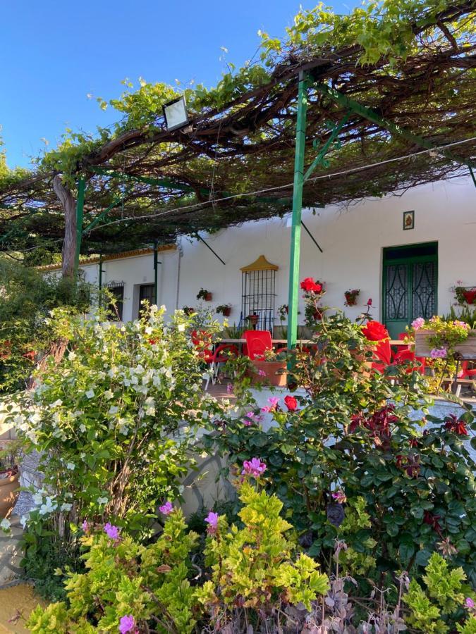 La Ponderosa Casa De Campo Sierra Grazalema Prado Del Rey Exterior foto